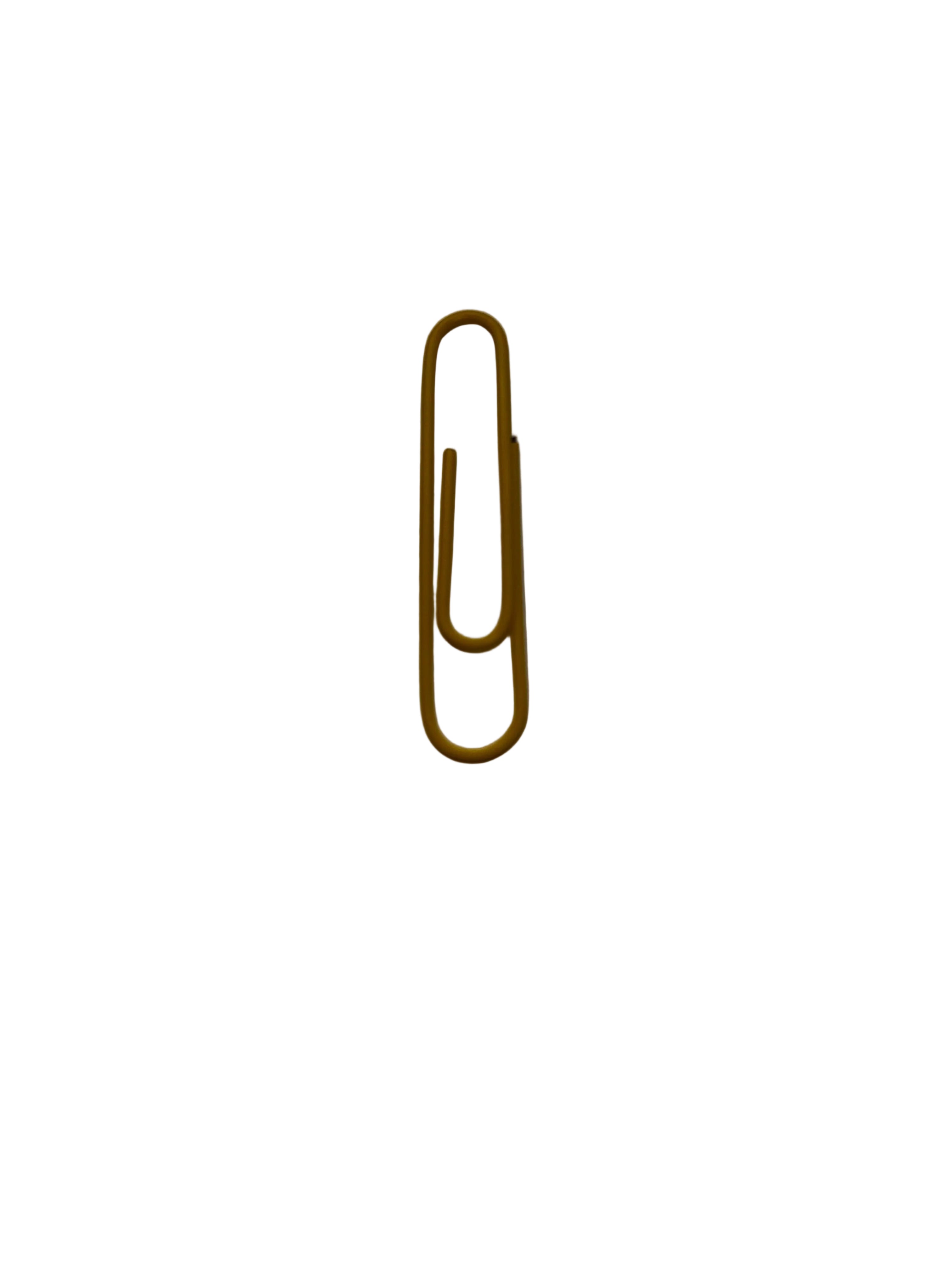 Large paper clips